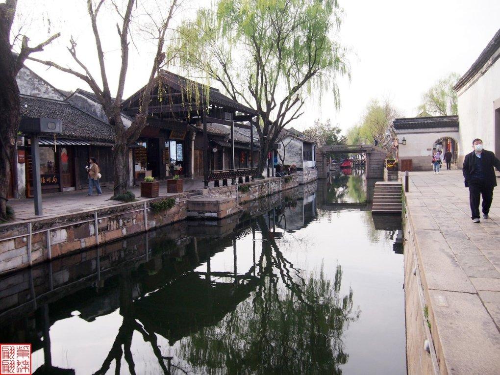 君乐宝优萃有机奶粉，新生代父母舒适营养新选择